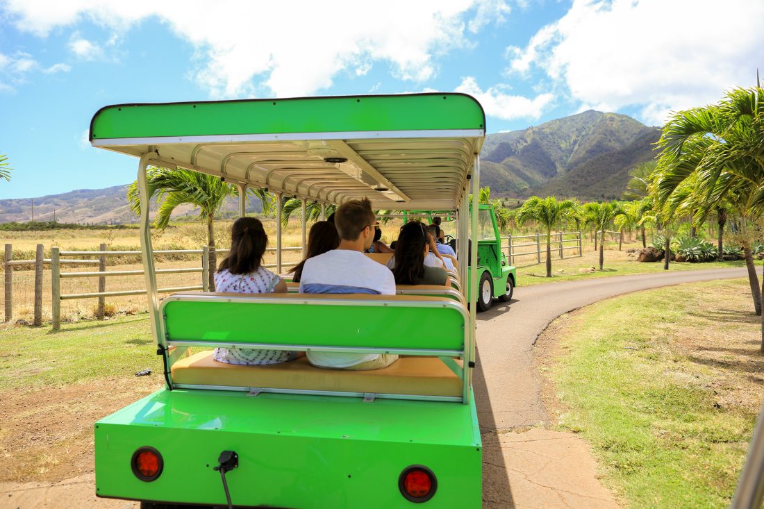 TramTour@maui tropical plantation